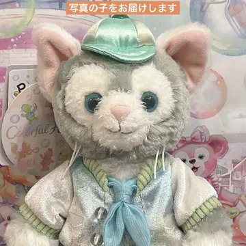 바 패키지 한정 디즈니씨 포지 플러시 젤라토니