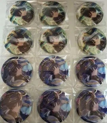 방랑자 캔뱃지 12점