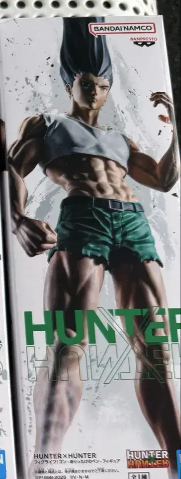 HUNTER x HUNTER 피그라이프! 곤 피규어