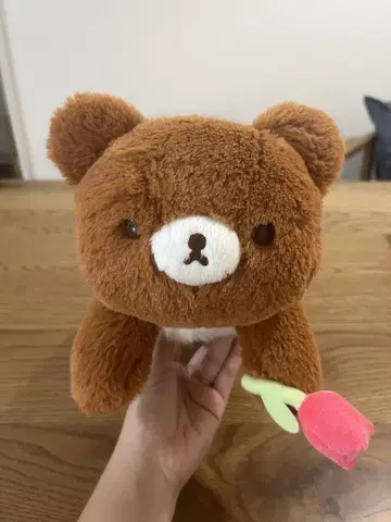 [새상품급] 차이로이코구마 무릎 봉제 인형 리락쿠마