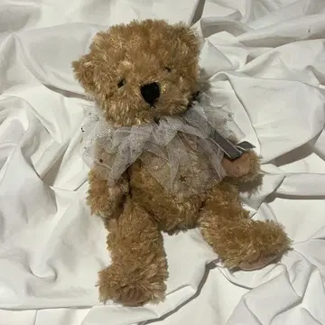 테디베어 곰 봉제 인형 귀여움