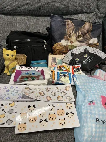 고양이 백 세트
