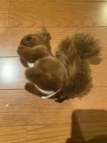 KOSEN  아기 다람쥐