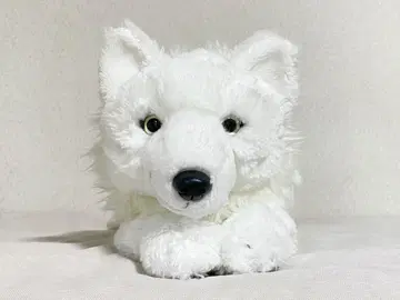 나스 동물 왕국 산 레몬 북극 늑대 봉제 인형 한정판