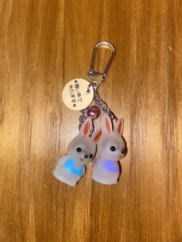 토끼 어둠 속에서 빛나는 키링 2개 세트