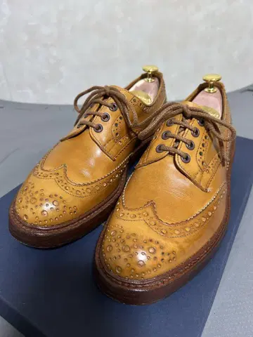 Tricker's 트리커스 버튼 M5633 UK6-5