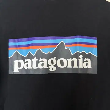 Patagonia 파타고니아 반팔 T셔츠 XS 사이즈