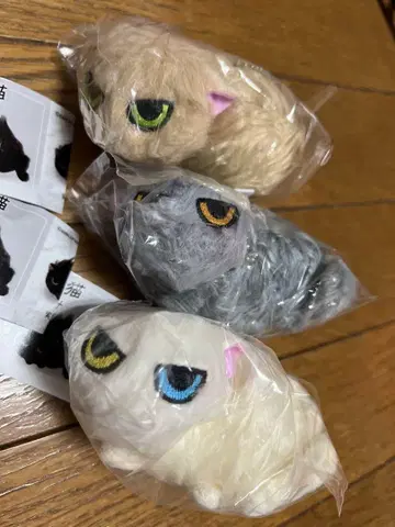 낯을 가리는 고양이 봉제인형 3점