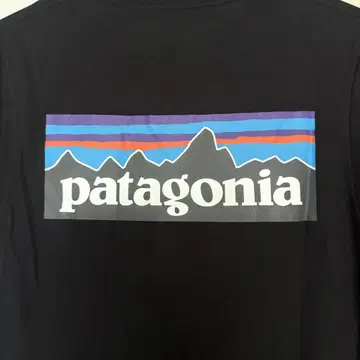 Patagonia 파타고니아 반팔 티셔츠 S 사이즈