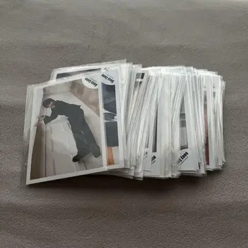 사토 쇼리 공식 사진