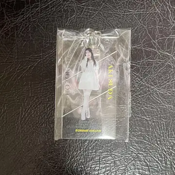 초 도키메키 선전부 스게타 아키 아크릴 키링