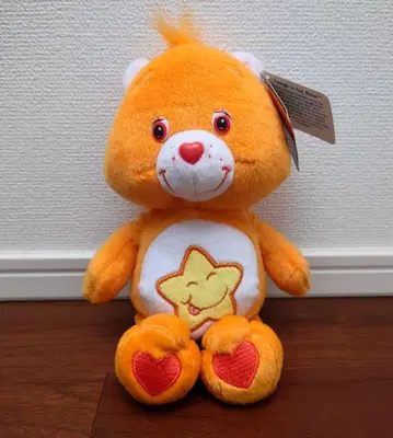 Care Bears 케어베어 러프어 로트 베어 오렌지 웃는 별