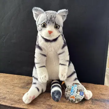 스와치 Zoo 냥코 아메리칸 숏헤어 고양이