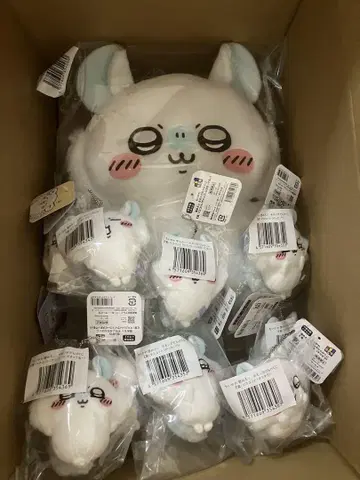 치이카와 모몽가 투성이 복권 E상 9개 + B상 1개