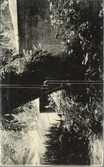 Gouveia dos Santos BADIR