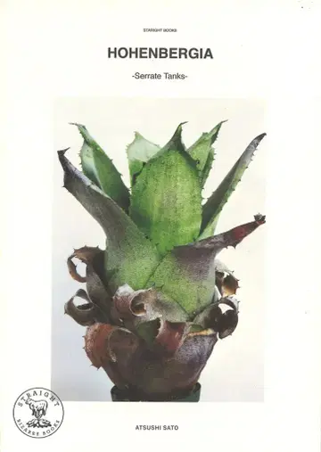 사토 아츠시 HOHENBERGIA Serrate Tanks