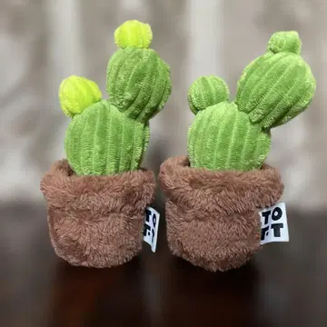 TOFT 토프트 봉제 인형 선인장 2종