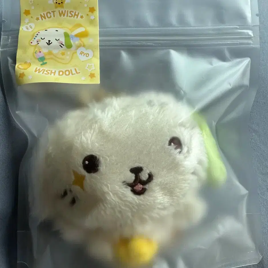 Nct Wish Wishdoll Mini Doll lightstick key ring Ryon Ryon sealed