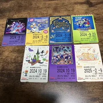 디즈니 리조트 리조트 라인 프리 티켓 7매