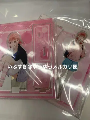 히나 아크릴 스탠드 2종 푸른상자 TSUTAYA 아오하코 동아리 활동