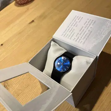 SKAGEN 파란 다이얼의 아름다운 손목시계