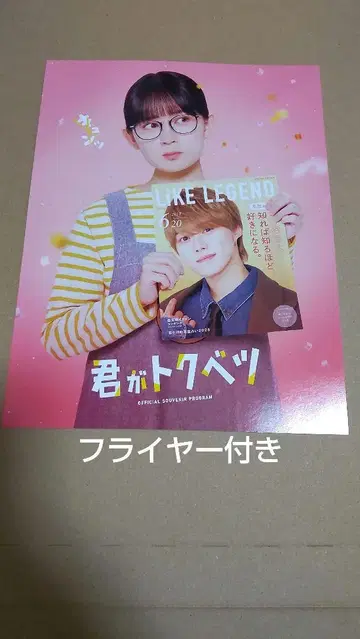 영화 너가 특별해 팜플렛 오하시 카즈야 하타 메이