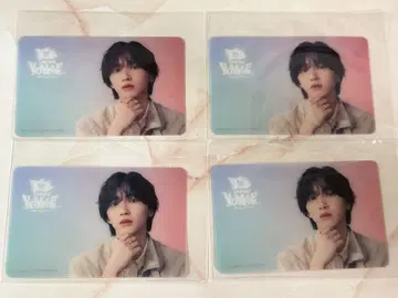 나니와단시 미치에다 슌스케 BONBONVAYAGE 클리어 솔로 카드 4장