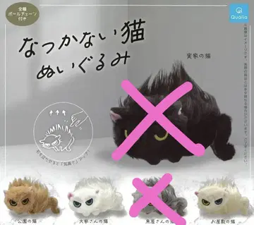 나츠카이 고양이 3개 세트