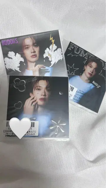 BUDDIS FUMIDO 사진 카드 3 세트