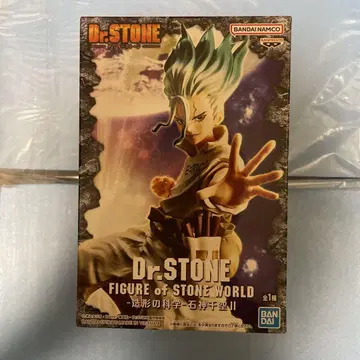 Dr. STONE FIGURE of STONE WORLD 센쿠
