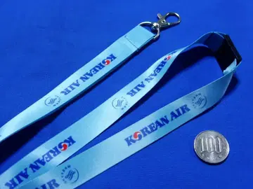 코리안에어 대한항공 넥스트랩 KOREAN AIR