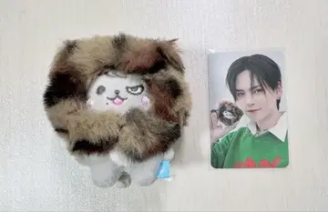 TREASURE HOPPI 봉제 인형 포토 카드 세트