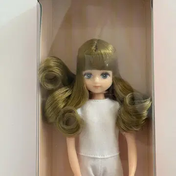 파레트F 어른스러운 모델