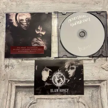 [ 레어 ] INDUSTRIAL GENDER UNIT BLAMHONEY