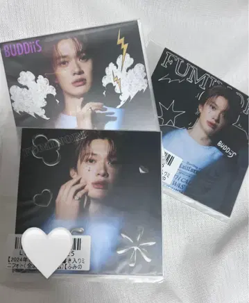 BUDDiiS FUMINORI 키라리 D상