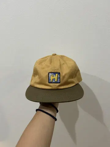 HUF 베이지 브라운 캡