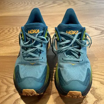 HOKA CHALLENGER 7 GTX 26.5cm