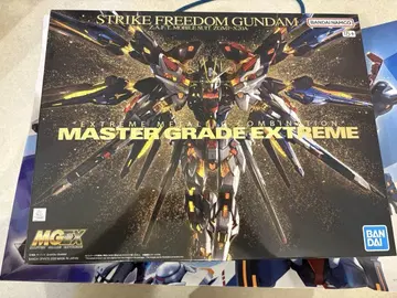 MGEX 1/100 스트라이크 프리덤 건담