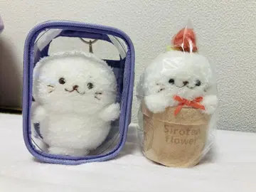 시로탄 봉제 인형 세트