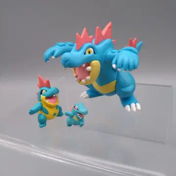 입체 포켓몬 도감 와니노코 알리게이츠 오다일 피규어 Pokemon