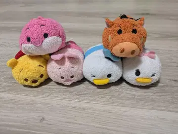 썸썸 세트