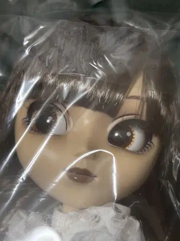 풀립 아라