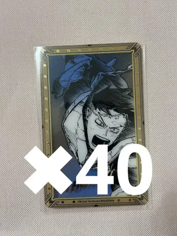 히로아카 원화전 금박 클리어 카드 이이다 텐야 40장