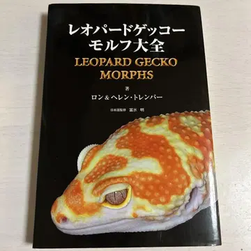 레오파드게코 모프 대전