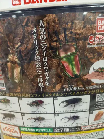 가챠 생물대도감 사슴벌레10 넓적사슴벌레 2종류