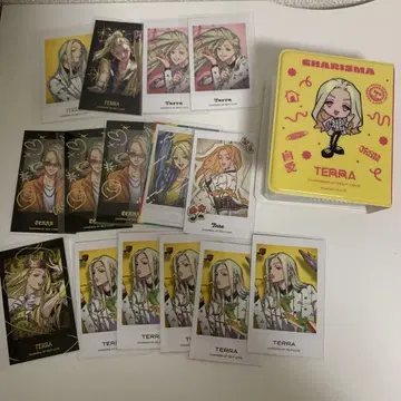 카리스마 테라 폴라로이드 & 폴라로이드 홀더