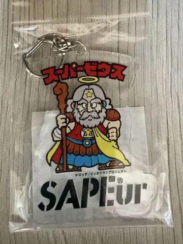 SAPEur  키링