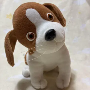 네코코레 봉제 인형 개 무라마츠 마코토 반다이