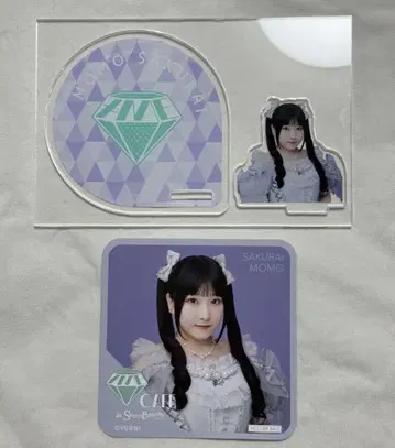 사쿠라이 모모 세트