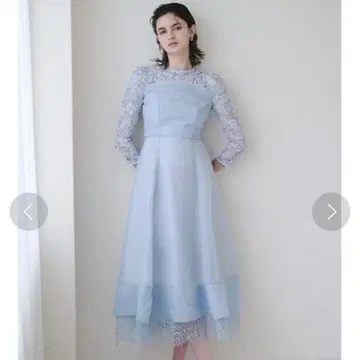 스나이델 볼륨 플레어 레이스 도킹 드레스